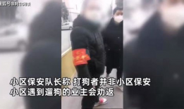 打狗视频,打狗视频引发道德争议